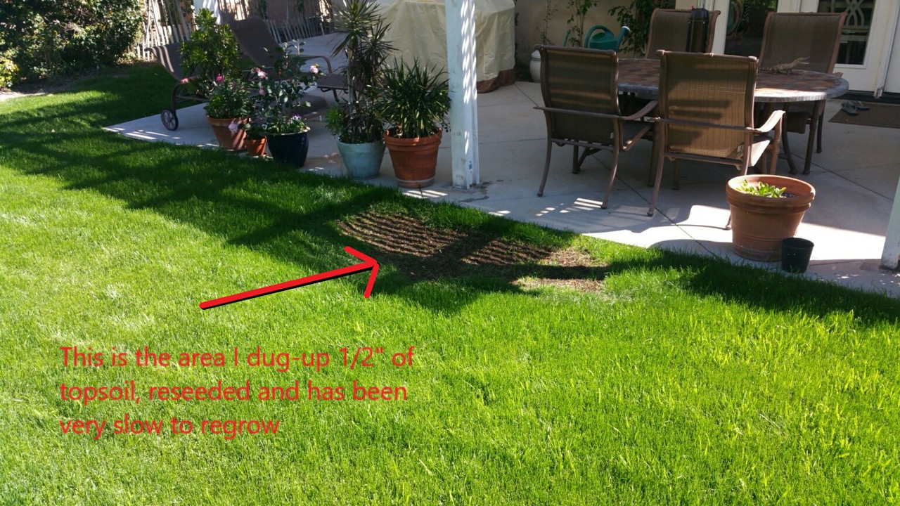 20180217_114032_1518978927279_resized