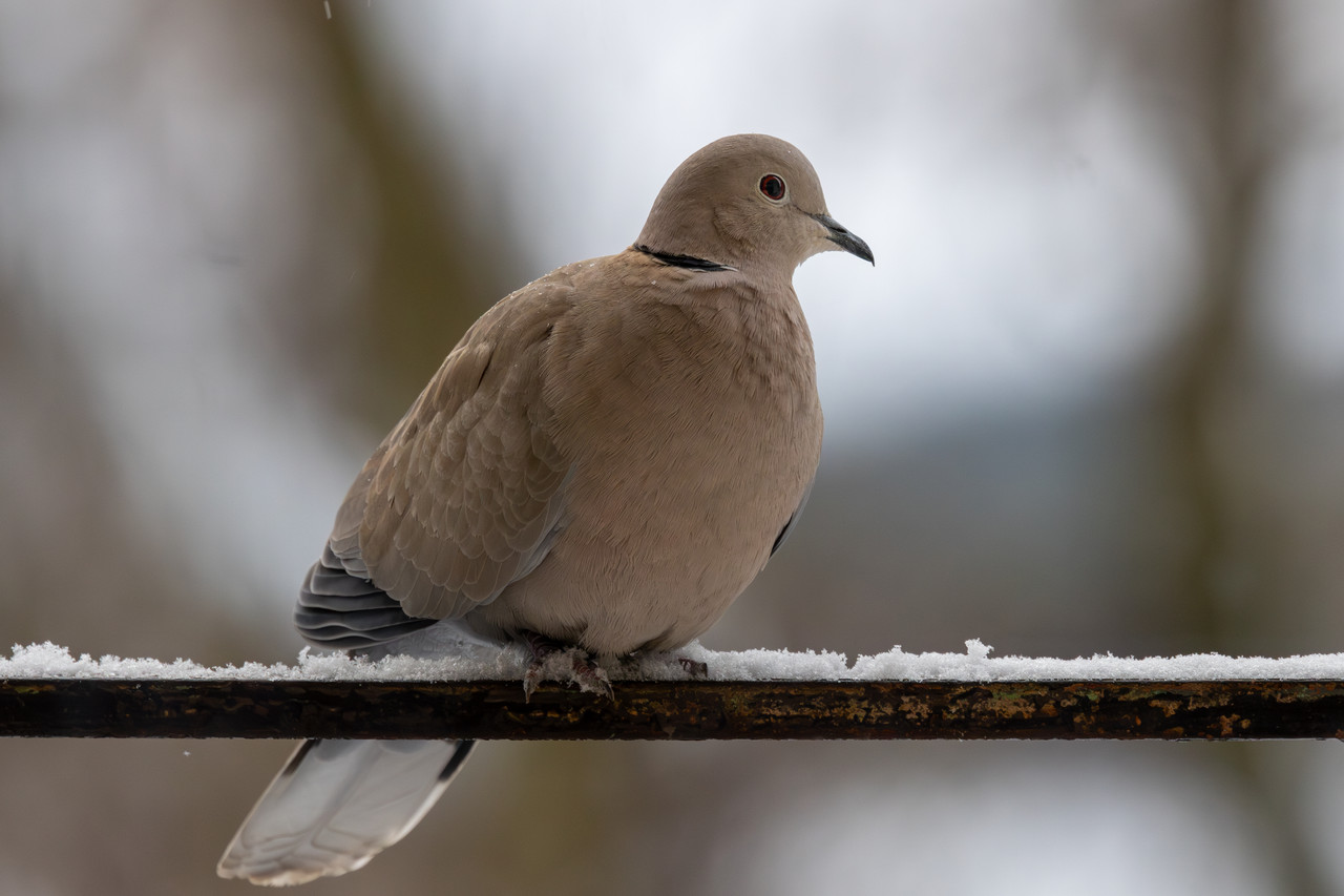 5X5A6999 Poprawione NR 1