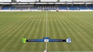 Norwich-vs-Schalke0420190719-164608.jpg