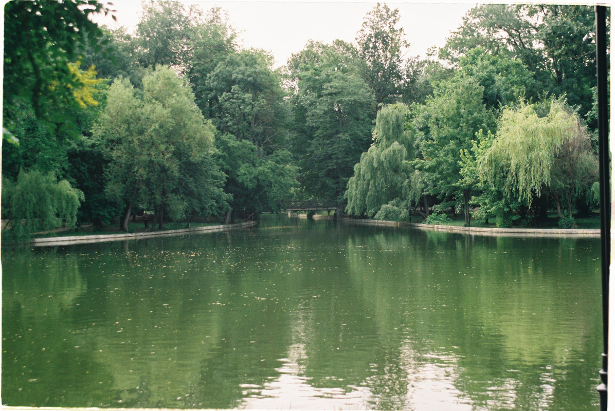 R1-09355-007-A.jpg