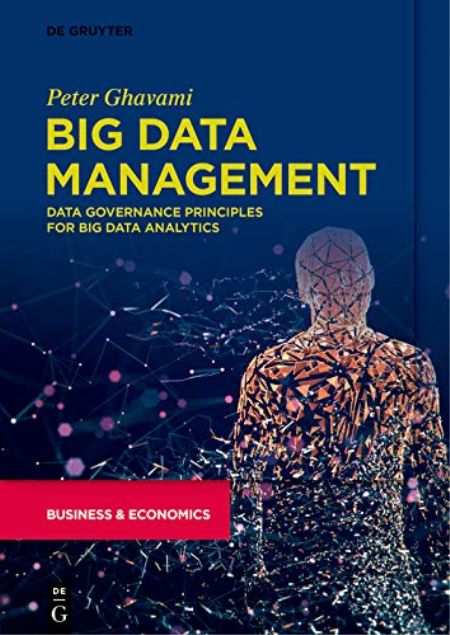 Big Data Management: Data Governance Principles for Big Data Analytics, 1st Edition