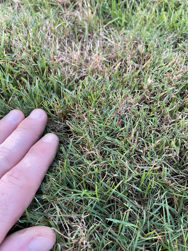 40A91EA5-452E-40E2-9ECA-797AA2B3ADCF