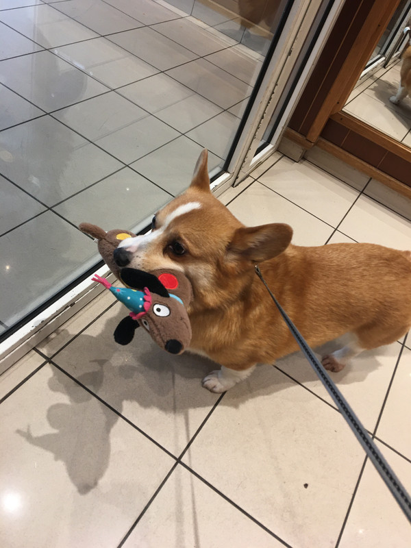 [Image: A0-EBF765-B6-CA-40-EF-B39-A-619-B1745832-F.jpg]