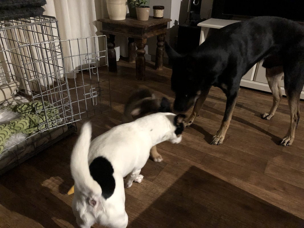 D939902C-834B-4794-9B4B-920E4140A590