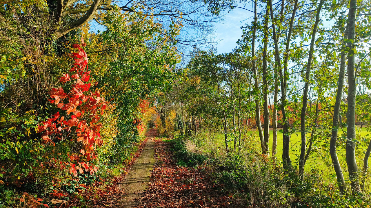 Lumii 20251104 151307873