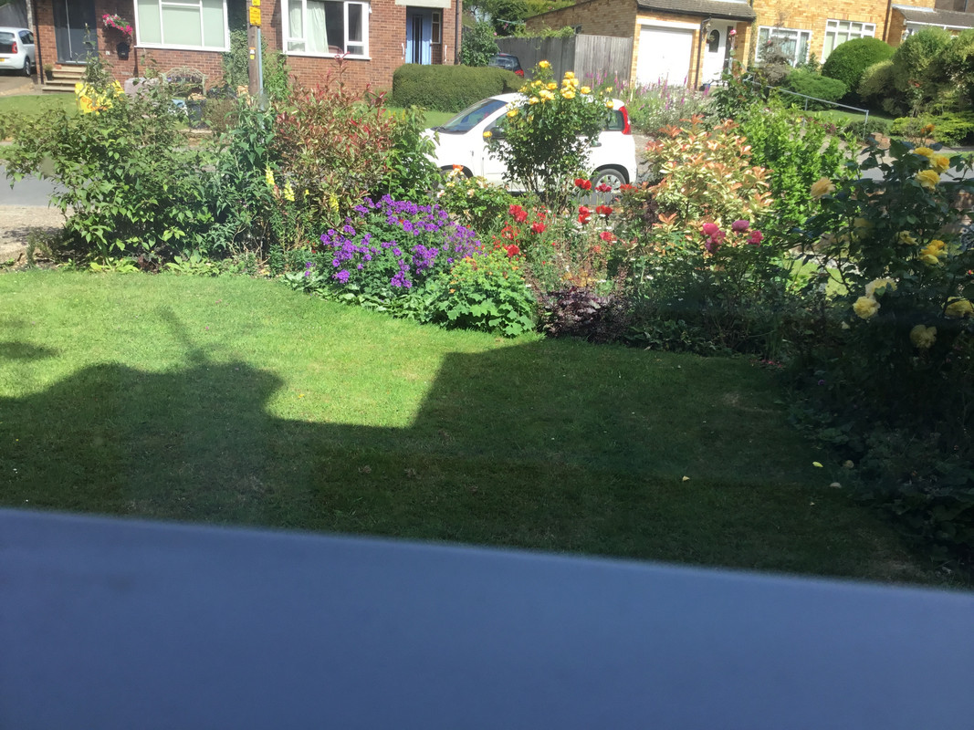 FDDC7A00-02DE-4E0D-9AA2-7D39AA5F101D