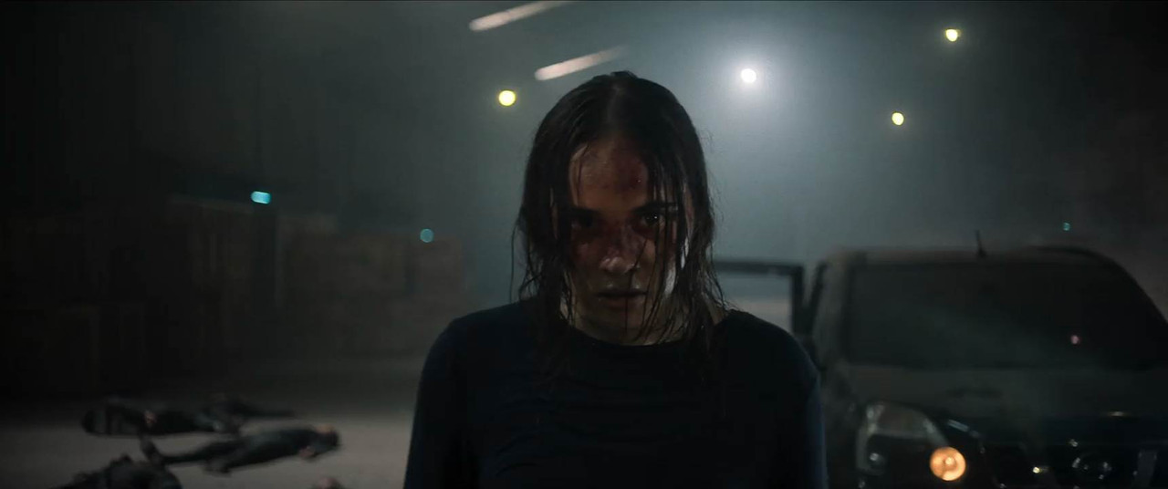 The Shadow Strays 2024 WebRip [Hindi + English] 480p, 720p ESub Screenshot