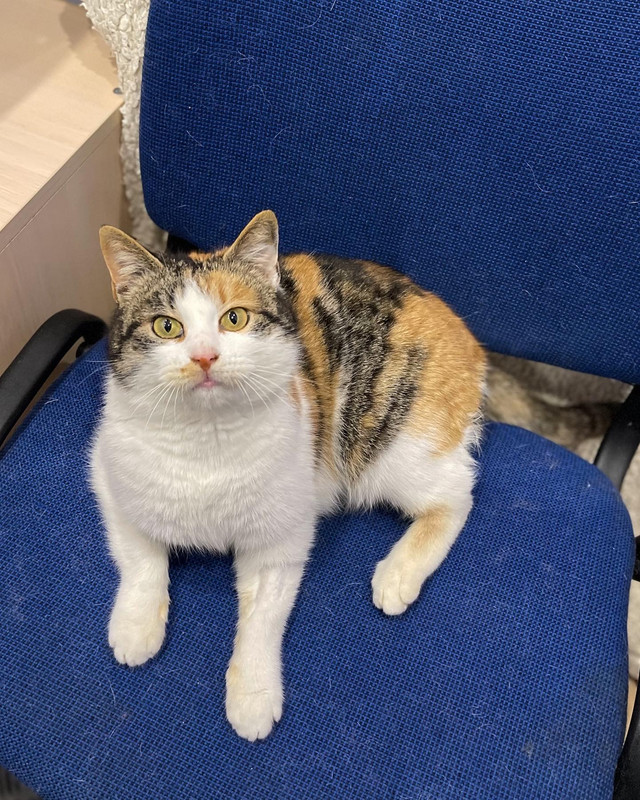 441B3F2A-CCF9-4EF8-8E36-7E9EC0E6671B