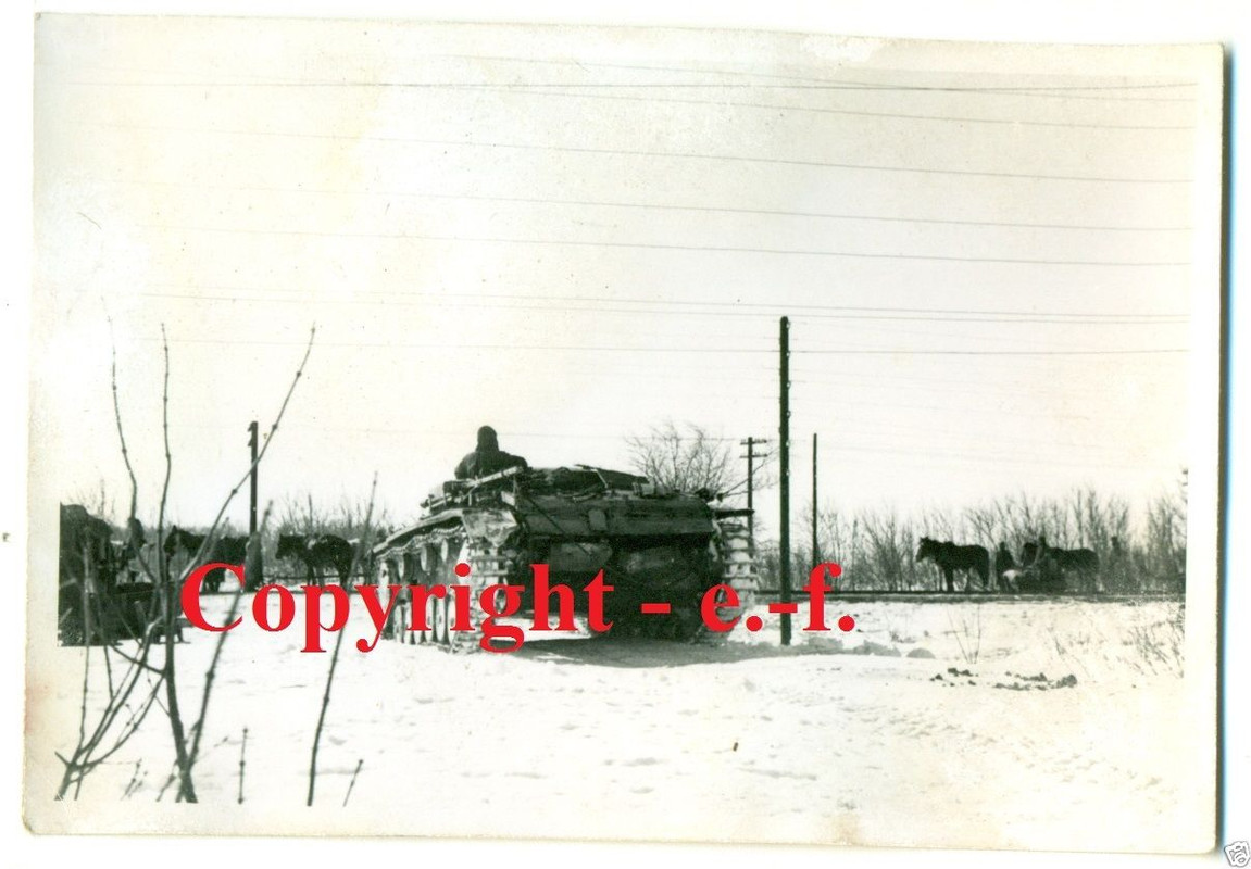 FOTO - STURMGESCHÜTZ - WINTER-TARNUNG1