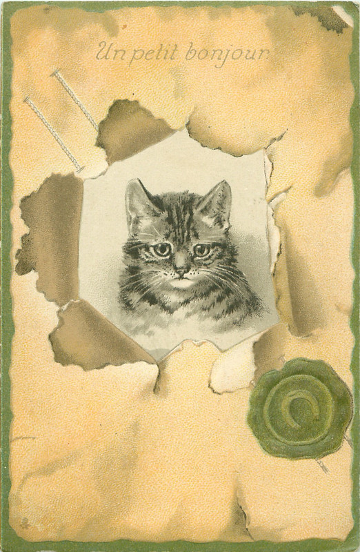 10-2011-07-09-07-08-43