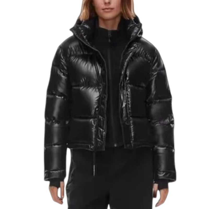 Aritzia Puffer Jacket