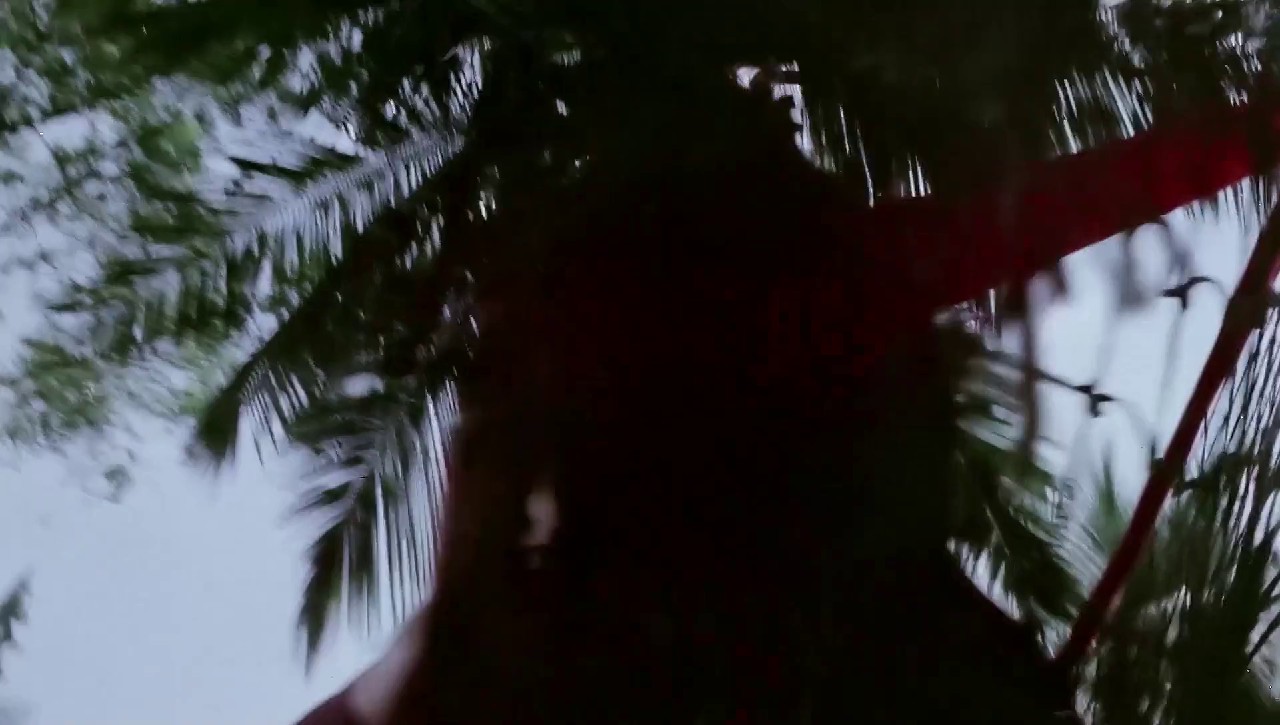 Haathi-Mere-Saathi-1971-Web-Rip-Hindi-1080p-8bit-x264-AVC-DD-2-0-ESub-mkv-0004