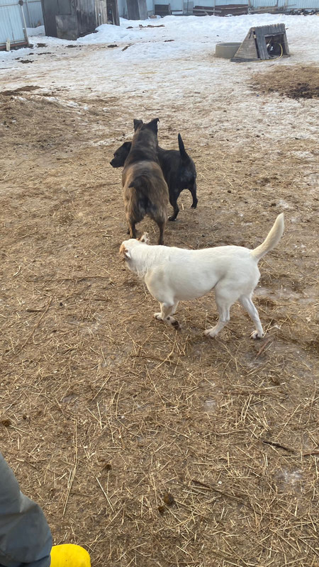 FA84A9AE-64F5-4510-B127-63F8D4DA45FF