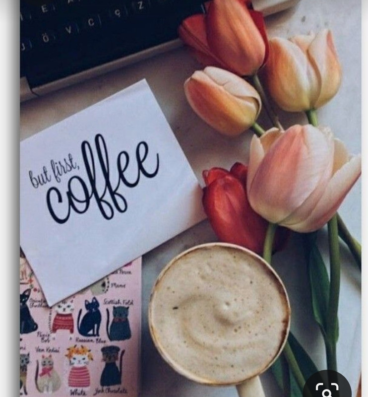 Screenshot_20230330_233708_Pinterest