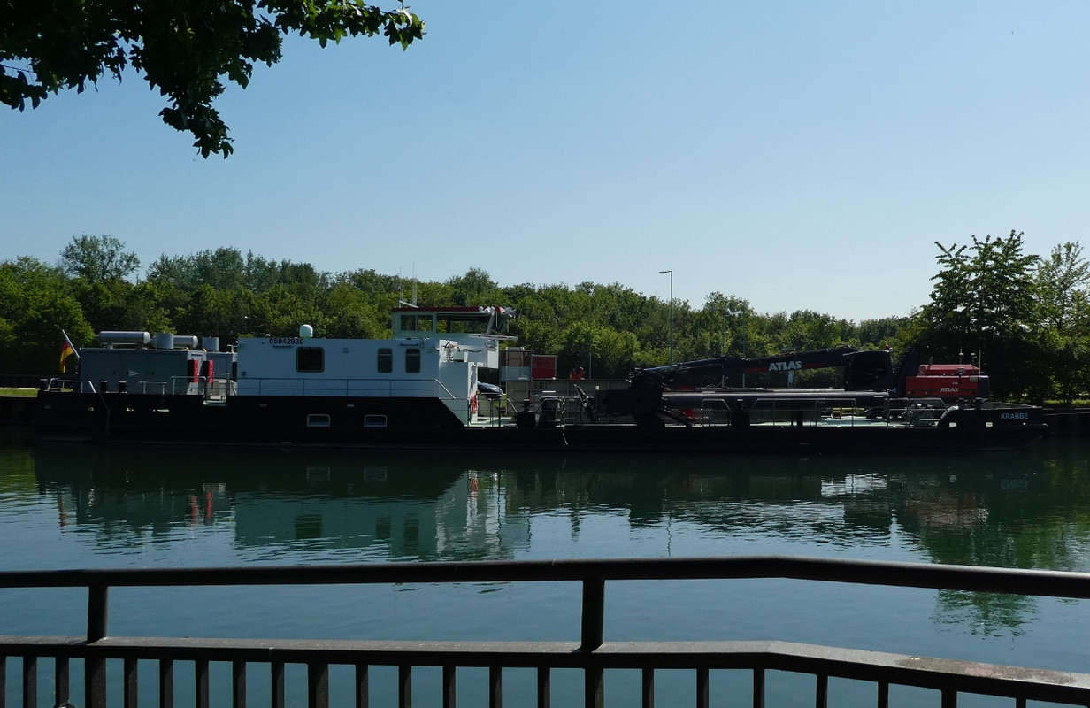 2020.05.07b Krabbe (1280x831)