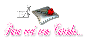 CARINHO-05-1.gif