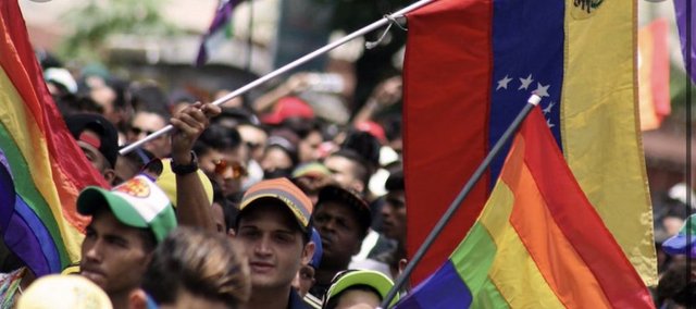 Comunidad LGBTIQ+ marchó con su orgullo en Caracas en una colorida y alegre movilización (+Imágenes) CCs-gay