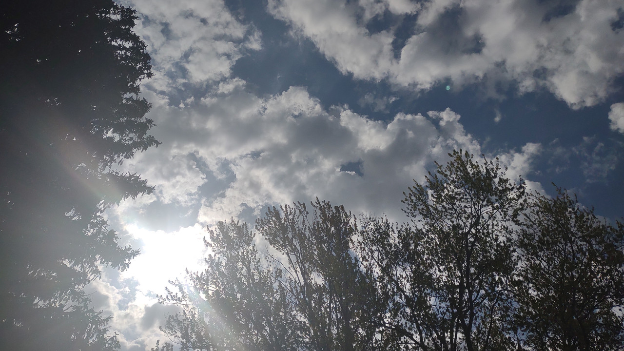 IMG_20250510_101211486