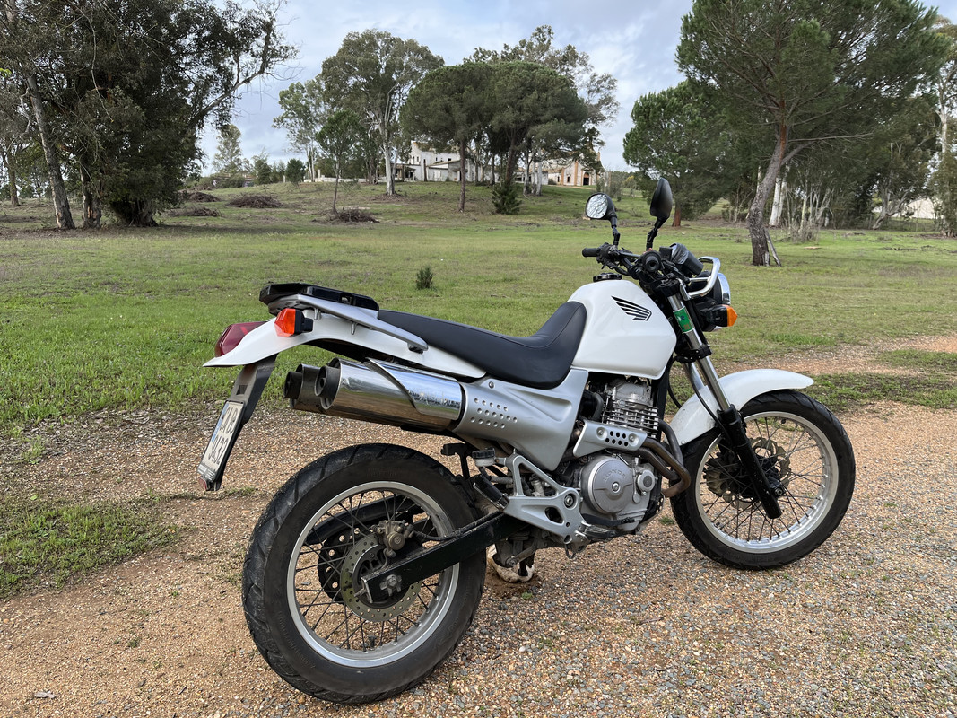 F1CE6B59-E477-47C8-A36B-99D595C02E27