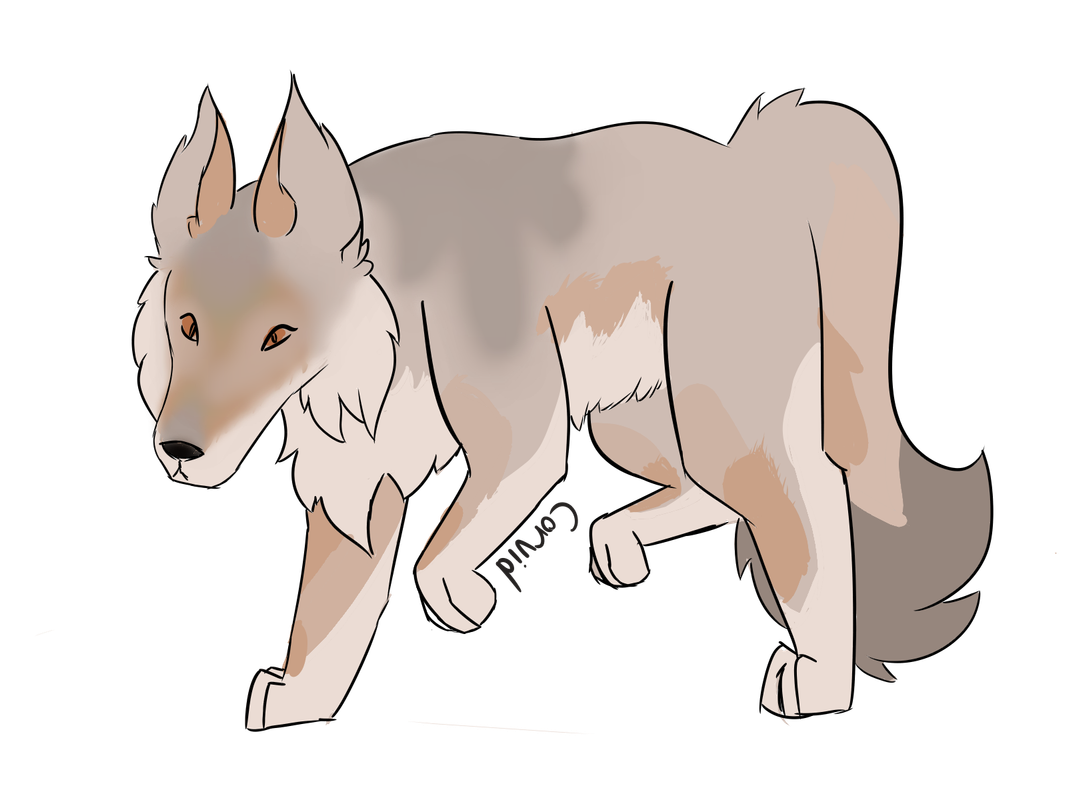 bella.png