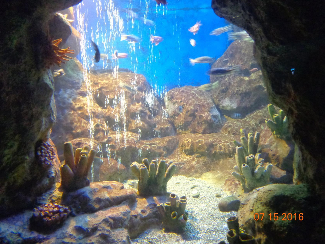 image - 2020-11-14T154252.284