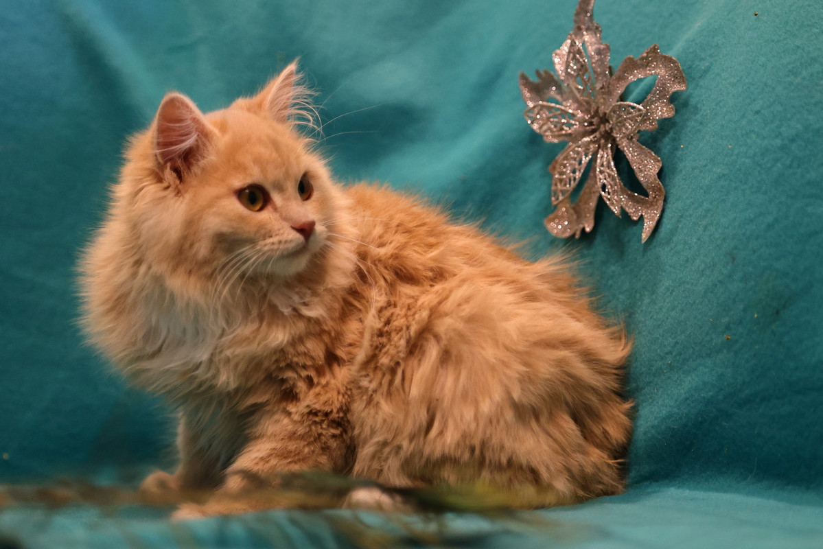 986DEBBB-1DC9-4881-9AAB-36D880CF4F5B