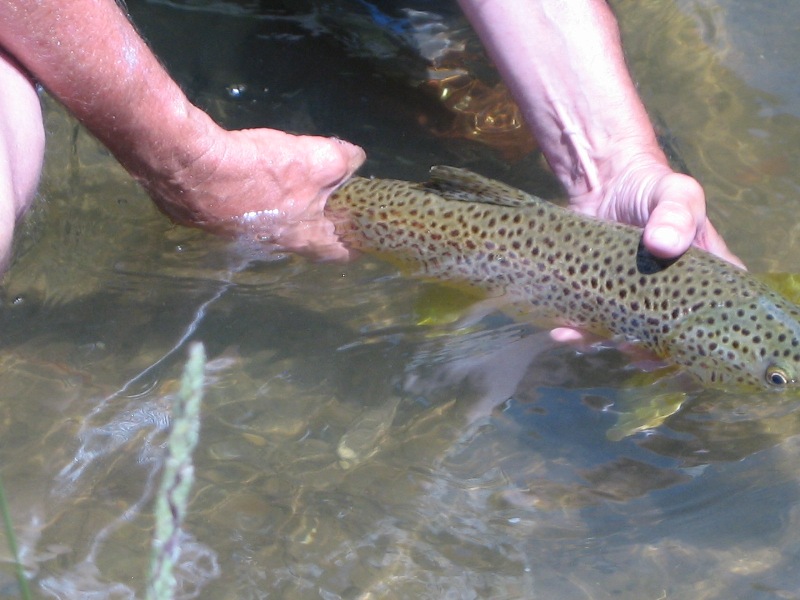 Smith River 7-9-12 023