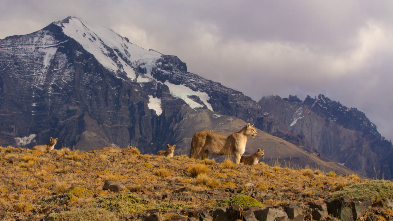 vlcsnap 2026 01 27 10h29m07s434