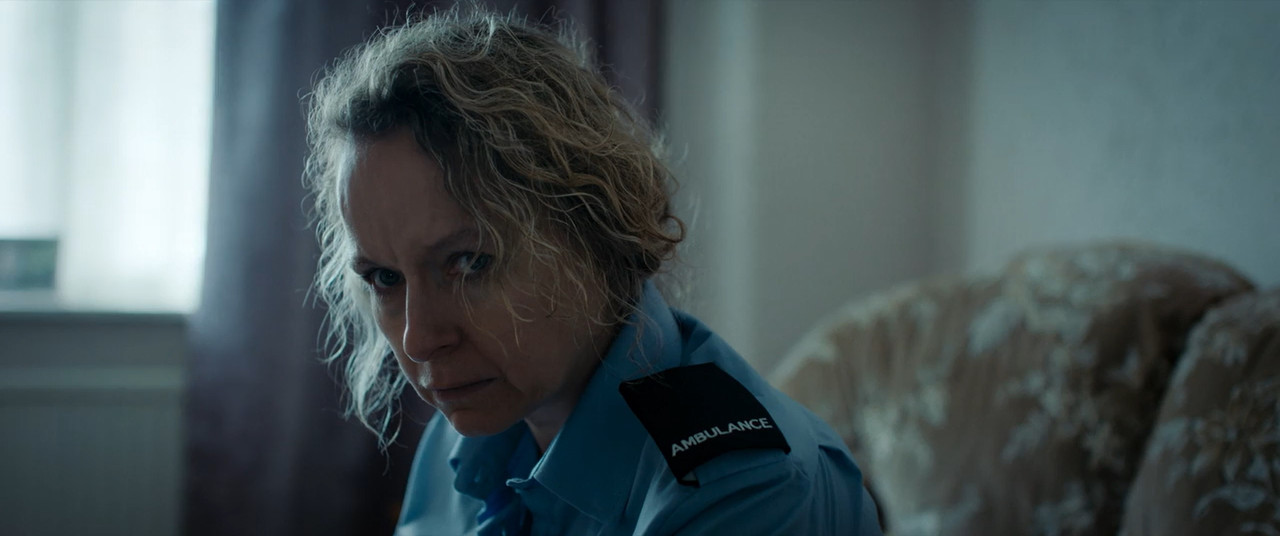 Anemone 2025 BluRay [Hindi + English] 480p 720p ESub Screenshot
