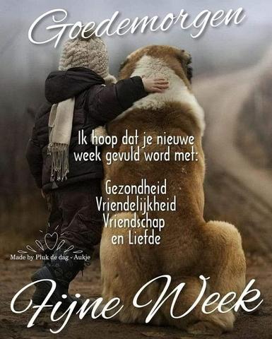 EEN-GELUKSMOMENTJE-GOEDE-MORGEN.jpg