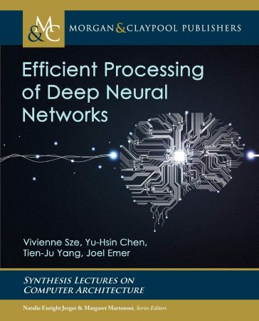 Efficient Processing of Deep Neural Networks (True EPUB)