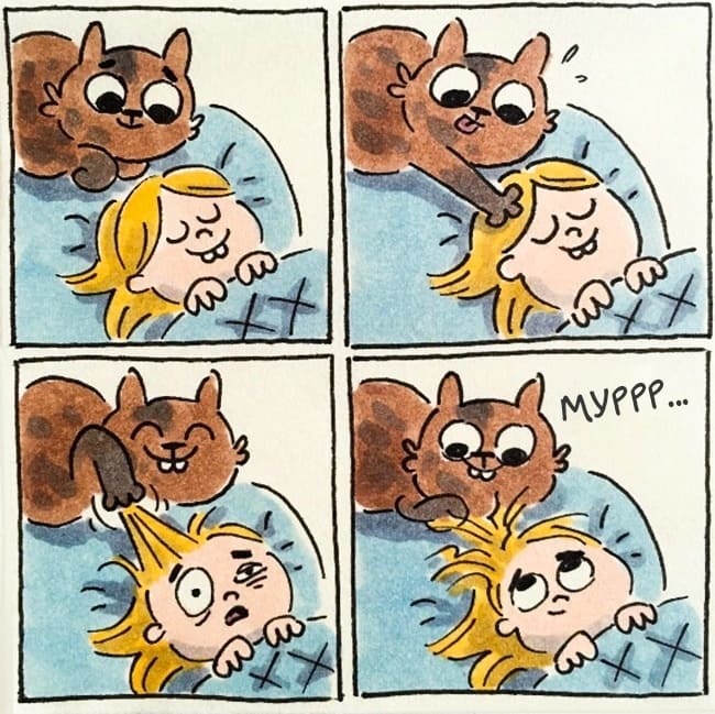 15 смешных и невероятно метких комиксов о жизни с котом