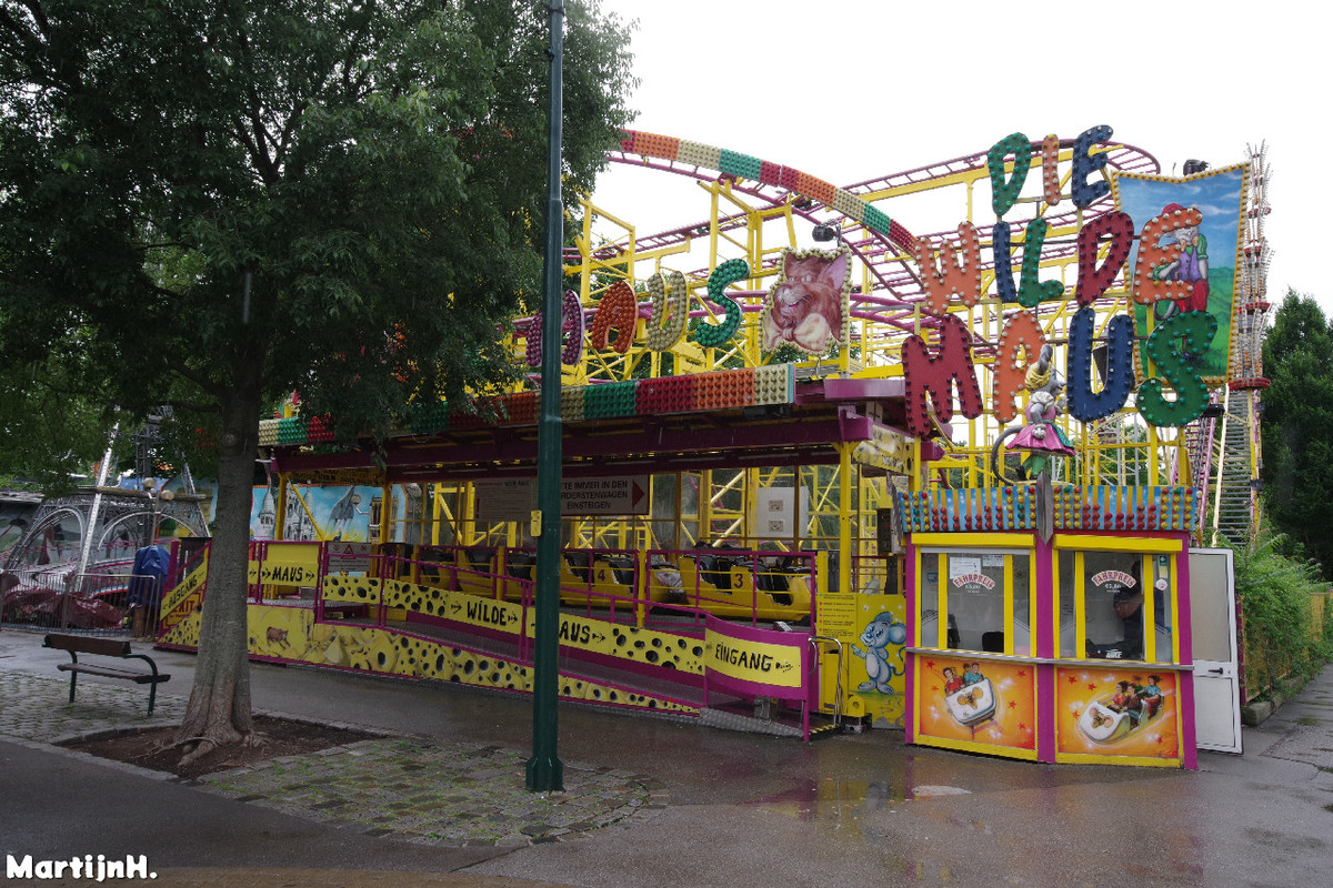 Wilde Maus - Dallinger (4)