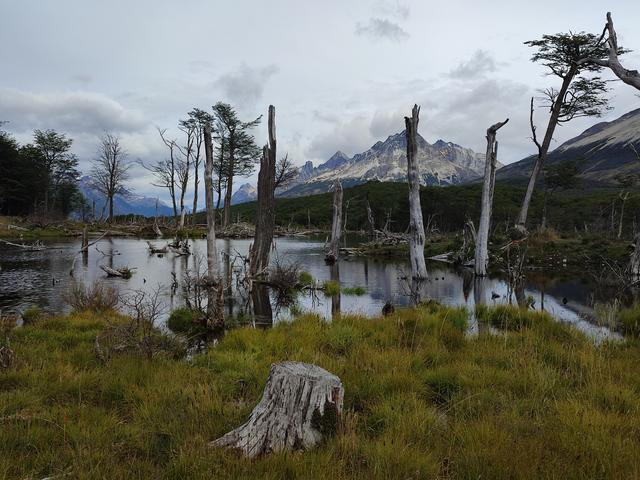 USHUAIA. TREKING LAGUNA ESMERALDA - ARGENTINA INFINITA II/ TORRES DEL PAINE (4)