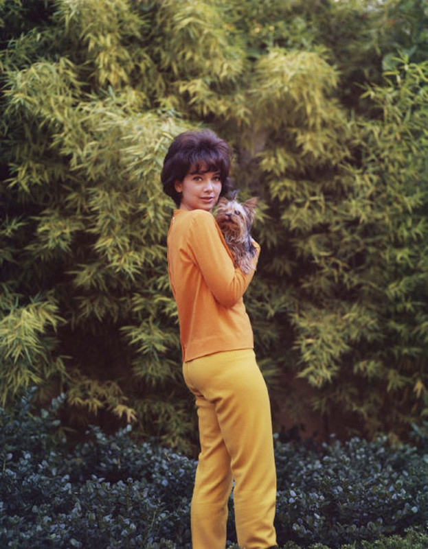 Suzanne_Pleshette_53