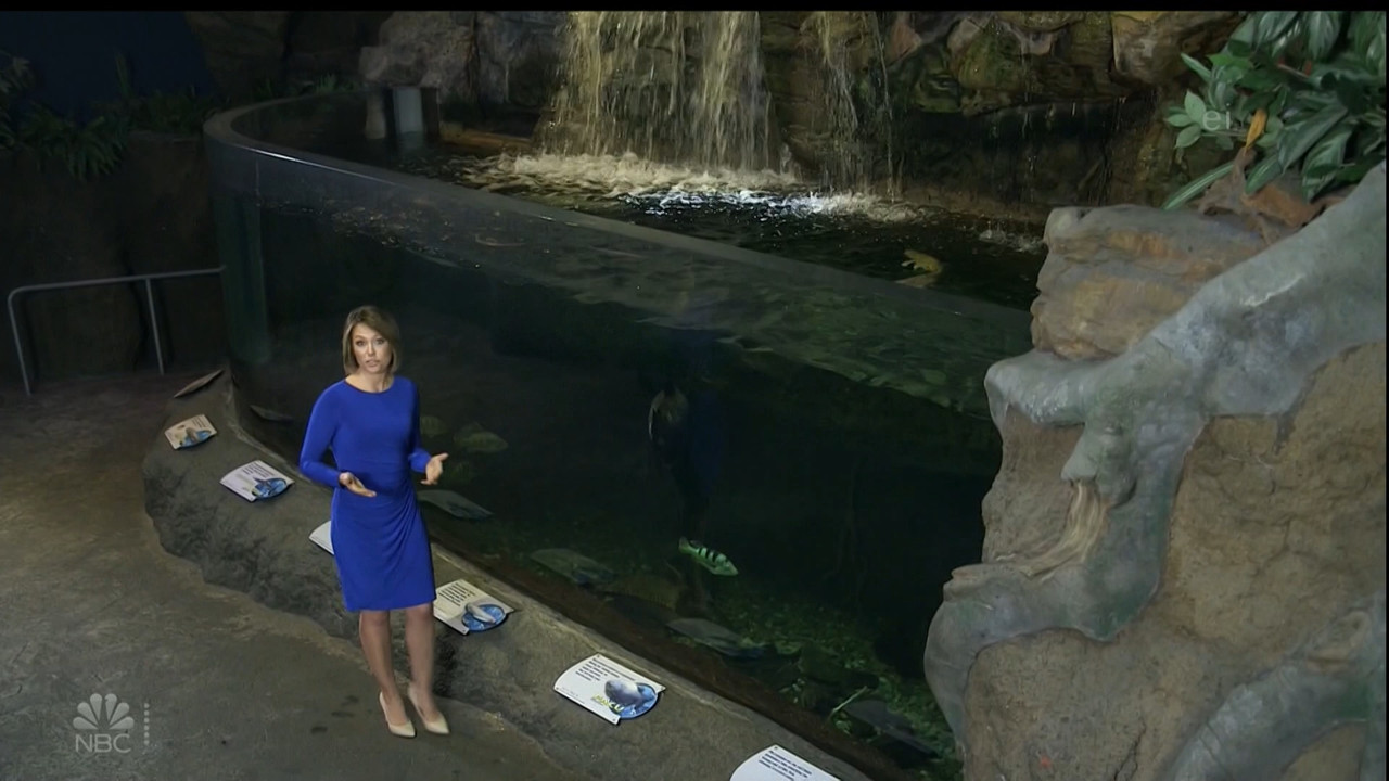 11.07 - 15.00.00 - Earth Odyssey With Dylan Dreyer. The world's smart....ts_snapshot_00.14.39.973