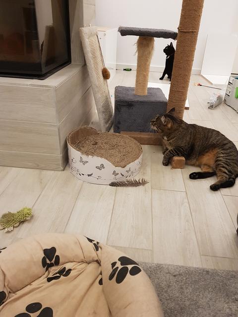 20191002-194722.jpg