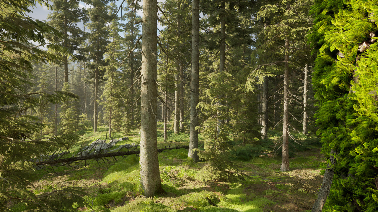 Northern Valley 2025 11 08 01 43 53 760