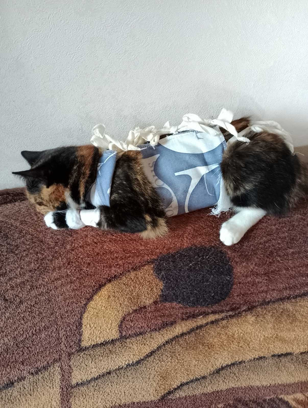 изображение_viber_2024-02-29_21-55-59-039