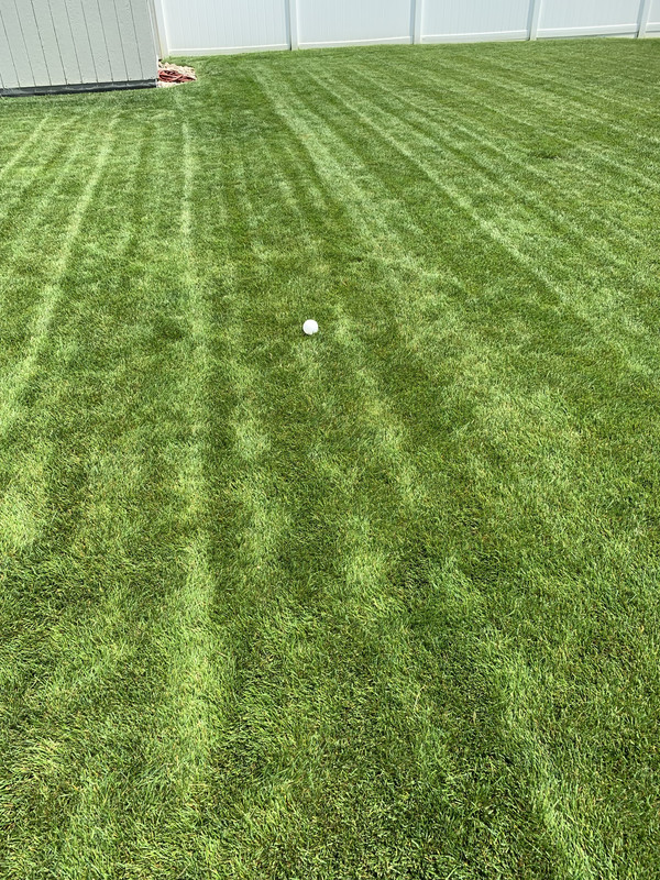 B0E9085C-0D19-48A5-9B95-769BAA8EAAEF