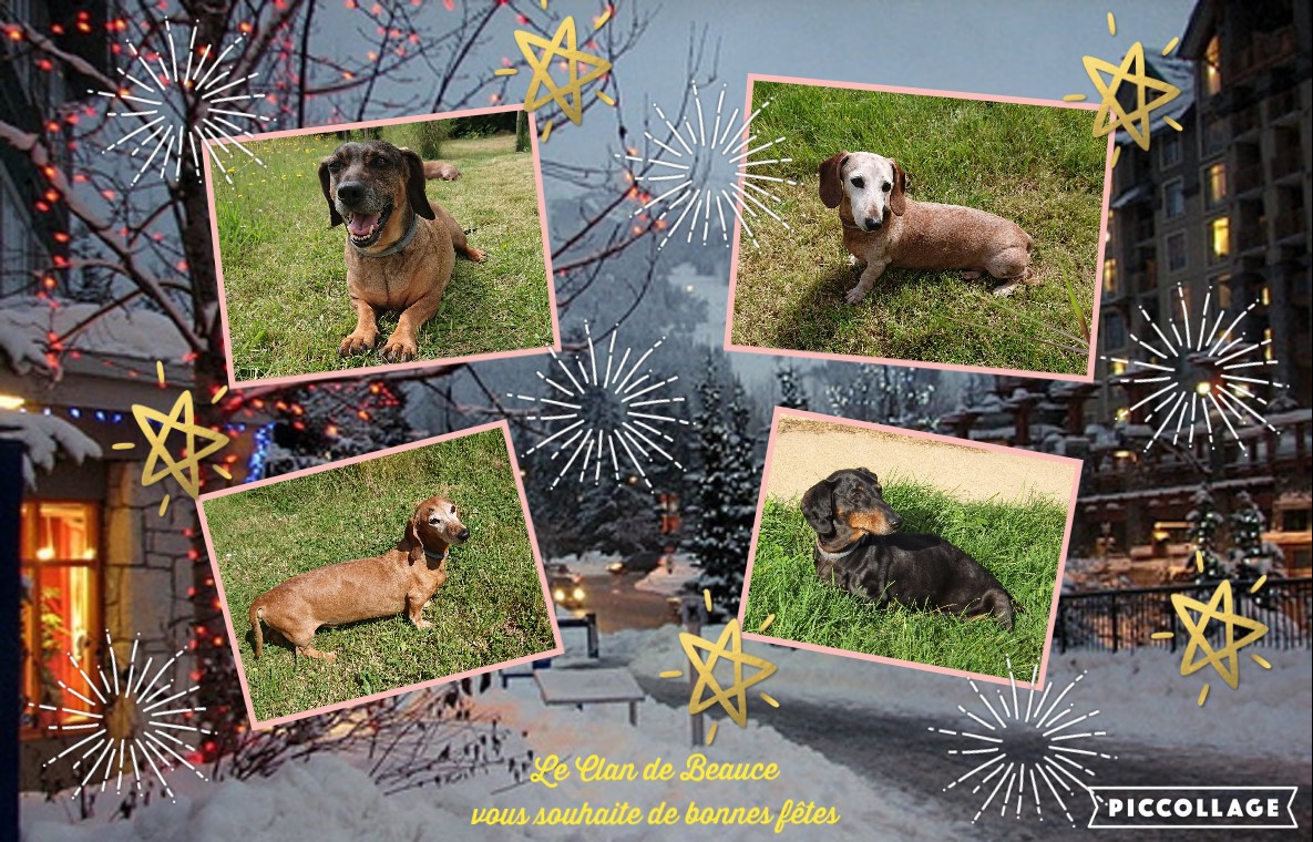 [Image: Souhaits-clan.jpg]