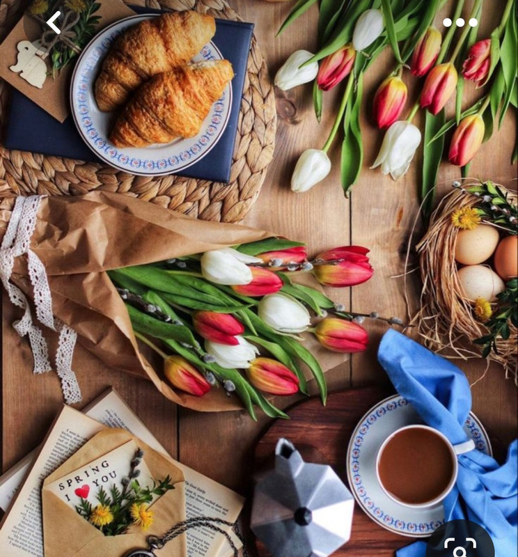 Screenshot_20230310_235255_Pinterest