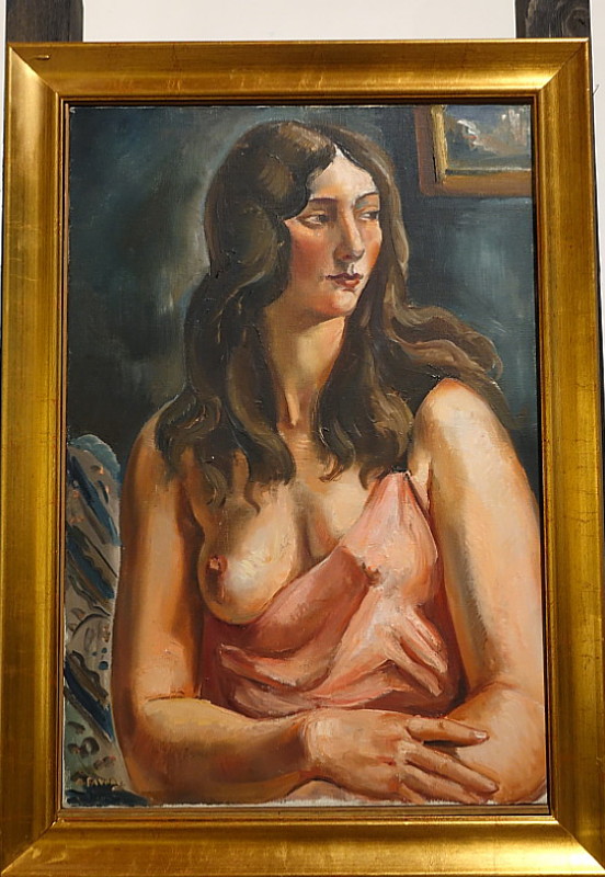 https://i.postimg.cc/FRN926w2/DSC02521-jpg-jpg.jpg