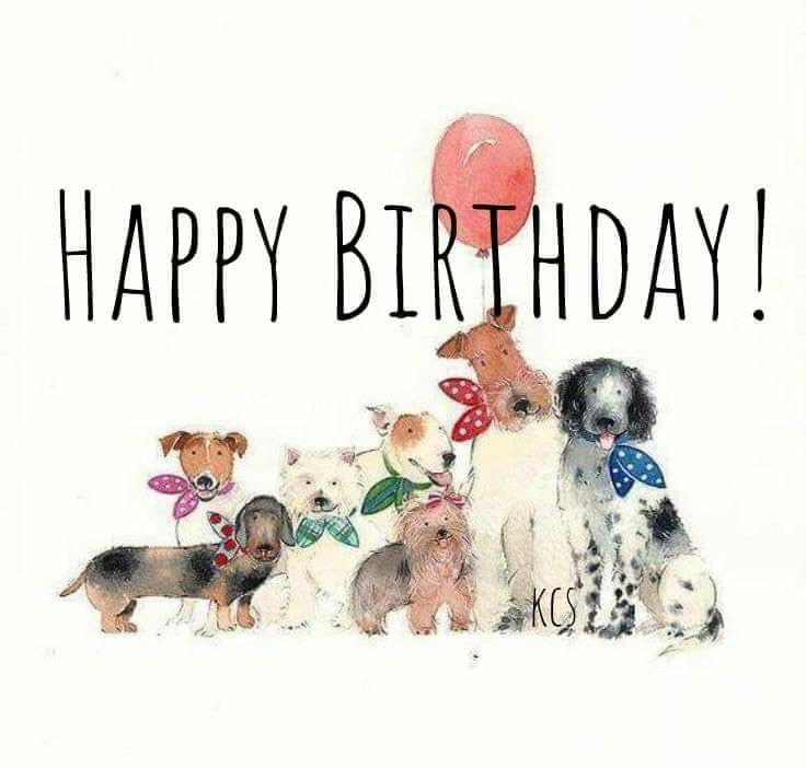 [Image: 68095247-f305-4829-9d54-247c7615bb78.jpg]