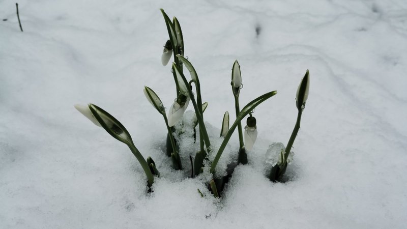 изображение_viber_2025-02-03_11-28-49-974