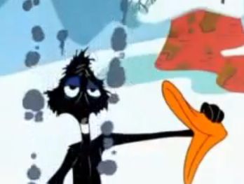 daffy