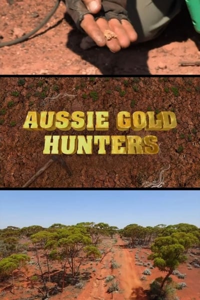 Aussie Gold Hunters S06E10 1080p HEVC x265