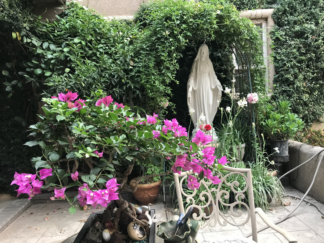 199EE53C-9A08-49E9-99D1-3DD1F4801FAB