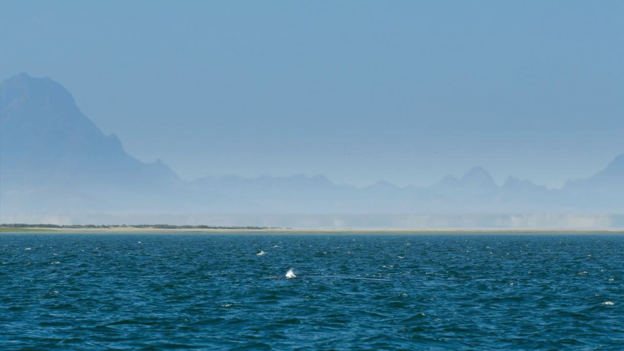 vlcsnap-2023-05-08-10h02m42s724