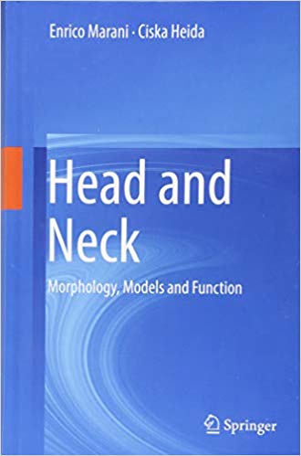 Head and Neck: Morphology, Models and Function Head and Neck: Morphology, Models and Function